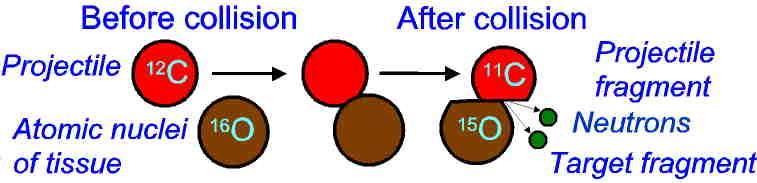 Radiation Physics,