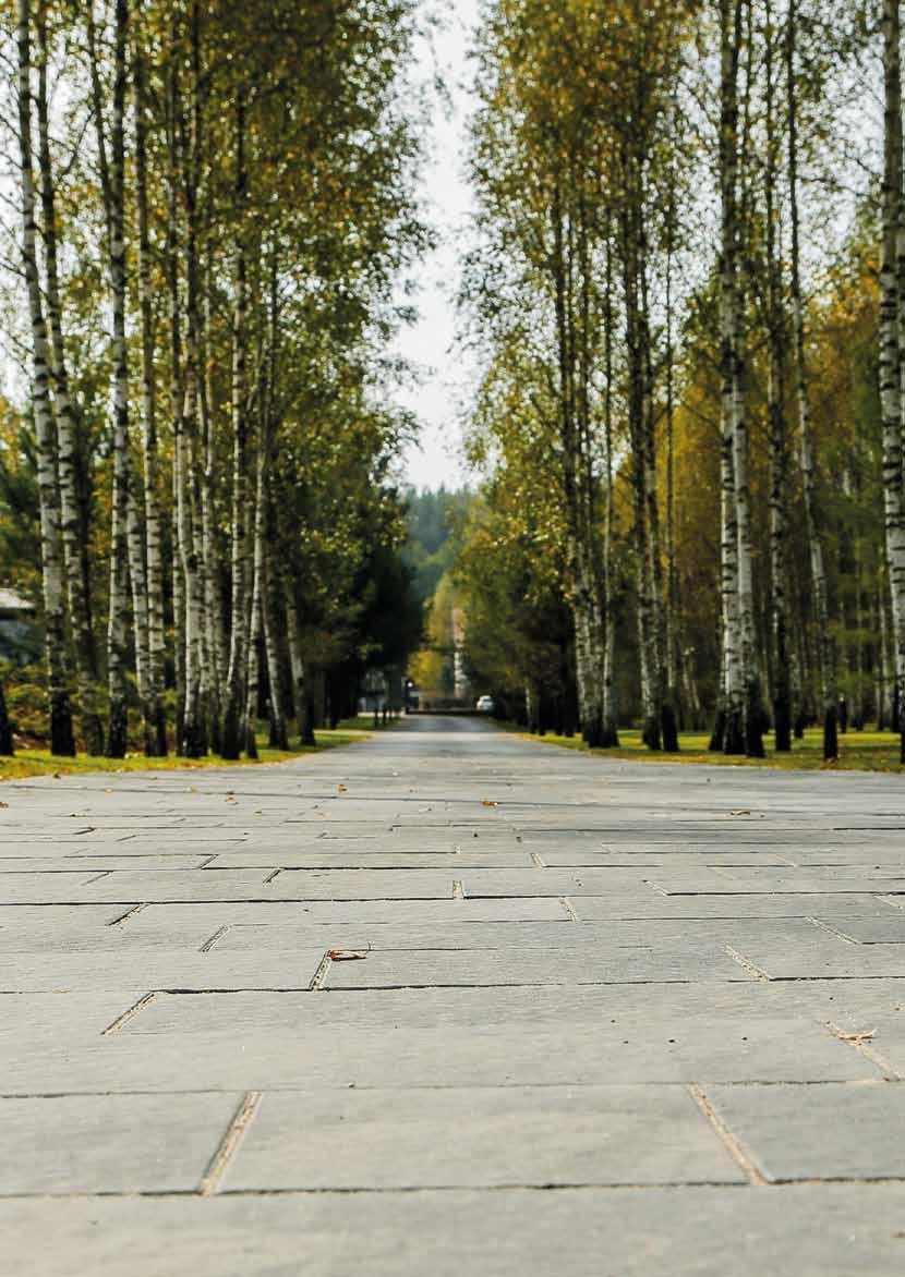 Producent kostki brukowej i galanterii betonowej Pater Firma A.E. Daniluk Sp. jawna ul. Fabryczna 10, Siemiatycze Stacja 17-300 tel. 85 655 64 16, 655 21 15, fax 085 656 12 73 Dział handlowy: tel.
