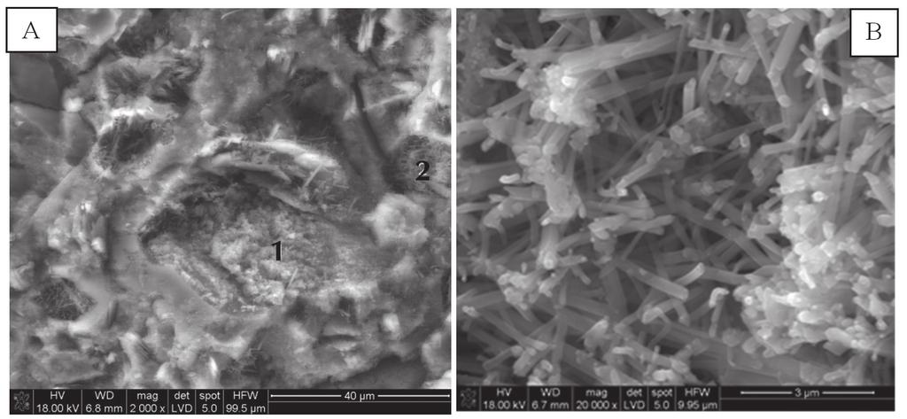 Rys. 4. A Mikrostruktura zaczynu cementowego w próbce betonu z recyklingu z widocznym obszarem zawierającym produkty karbonatyzacji punkt 1 i B skupienie kryształów ettringitu Fig. 4. A Microstructure of cement paste in a sample of recycled concrete with a visible area containing products of carbonation point 1 and B agglomeration of ettringite crystals 1 2 Rys.