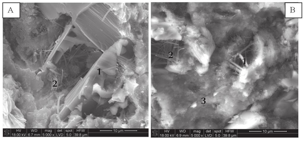 Rys. 6. A liczne kryształy portlandytu, B kryształy ettringitu w porach zaczynu otoczone zbitą fazą C-S-H. Fig. 6. A numerous portlandite crystals, B needles of ettringite crystals surrounded by compact C-S-H phase.