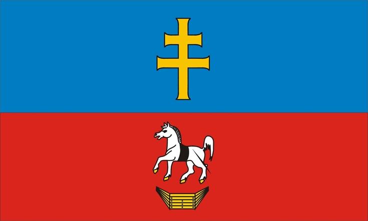 HERB, FLAGA I SZTANDAR