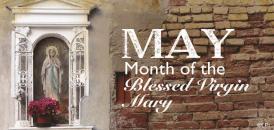 bulletin Sunday, May 26, 2019 Graduate Blessing MANNA-order form in the bulletin MASS TIME 4:30pm 7:30am 9:00am MINISTRY SCHEDULE FOR MAY 25/26 PRESIDER Rev. Chris Kulig Rev. Peter Wojcik Rev.