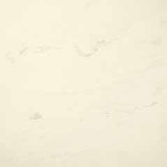 Polished surface / Die