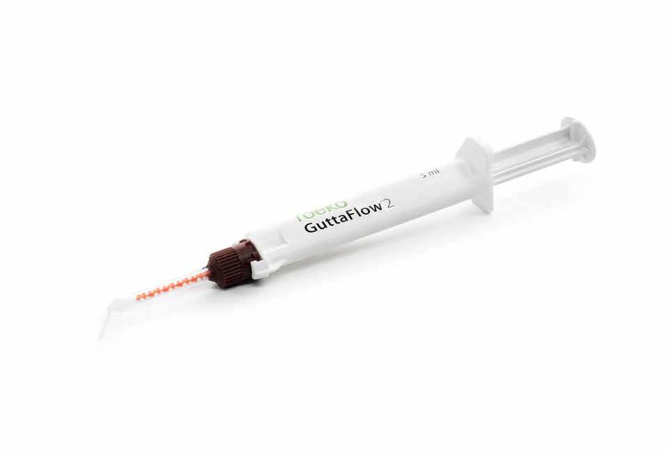60013701 299.- 1 strzykawka podwójna (5 ml) 12 końcówki mieszające 1 podkładka do mieszania GuttaFlow 2 Refill pack dual-barrel syringe 60013745 259.