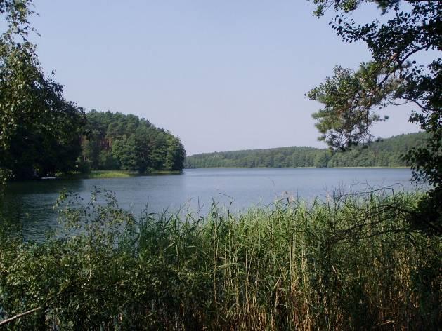 Rys. 8. Jezioro Łubowo źródło: www.panoramio.com Rys. 9. Jezioro Gostomie źródło: wedkuje.