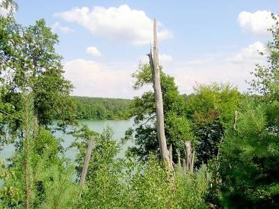 pl Tabela 6. Wykaz użytków ekologicznych gminy Drezdenko Lp. Nazwa użytku ekologicznego Rodzaj użytku ekologicznego Pow.