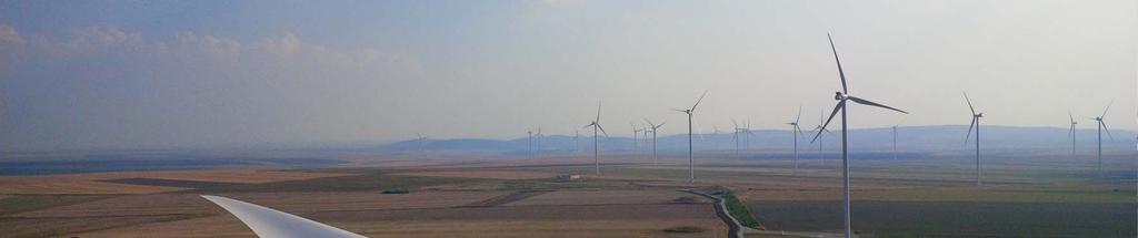 Analyzed wind