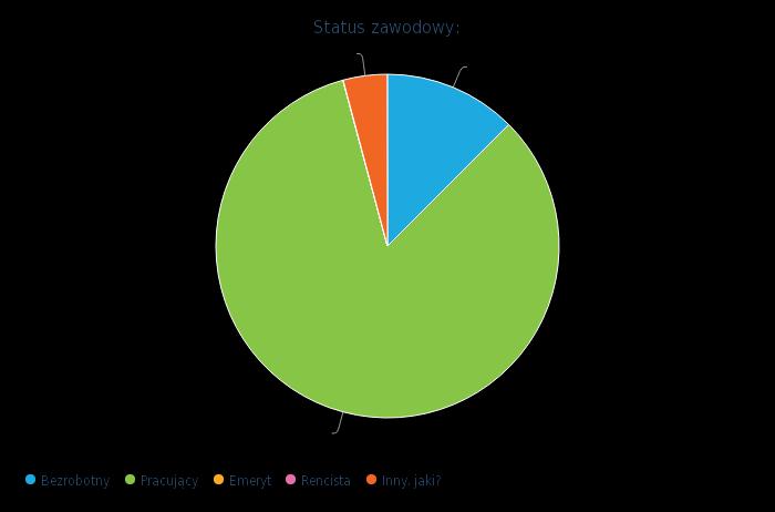 Wykres nr 4 status zawodowy osób badanych: Bezrobotny 3 12.5 % Pracujący 20 83.3 % Emeryt 0 0 % Rencista 0 0 % Inny, jaki? Urlop macierzyński 1 4.2 % Zjawisko przemocy w gminie Orla.