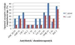Wykres 1. Lekooporność szczepów Campylobacter spp. izolowanych z mięsa drobiowego Drug resistance of Campylobacter spp. isolated from poultry meat Tabela 2.