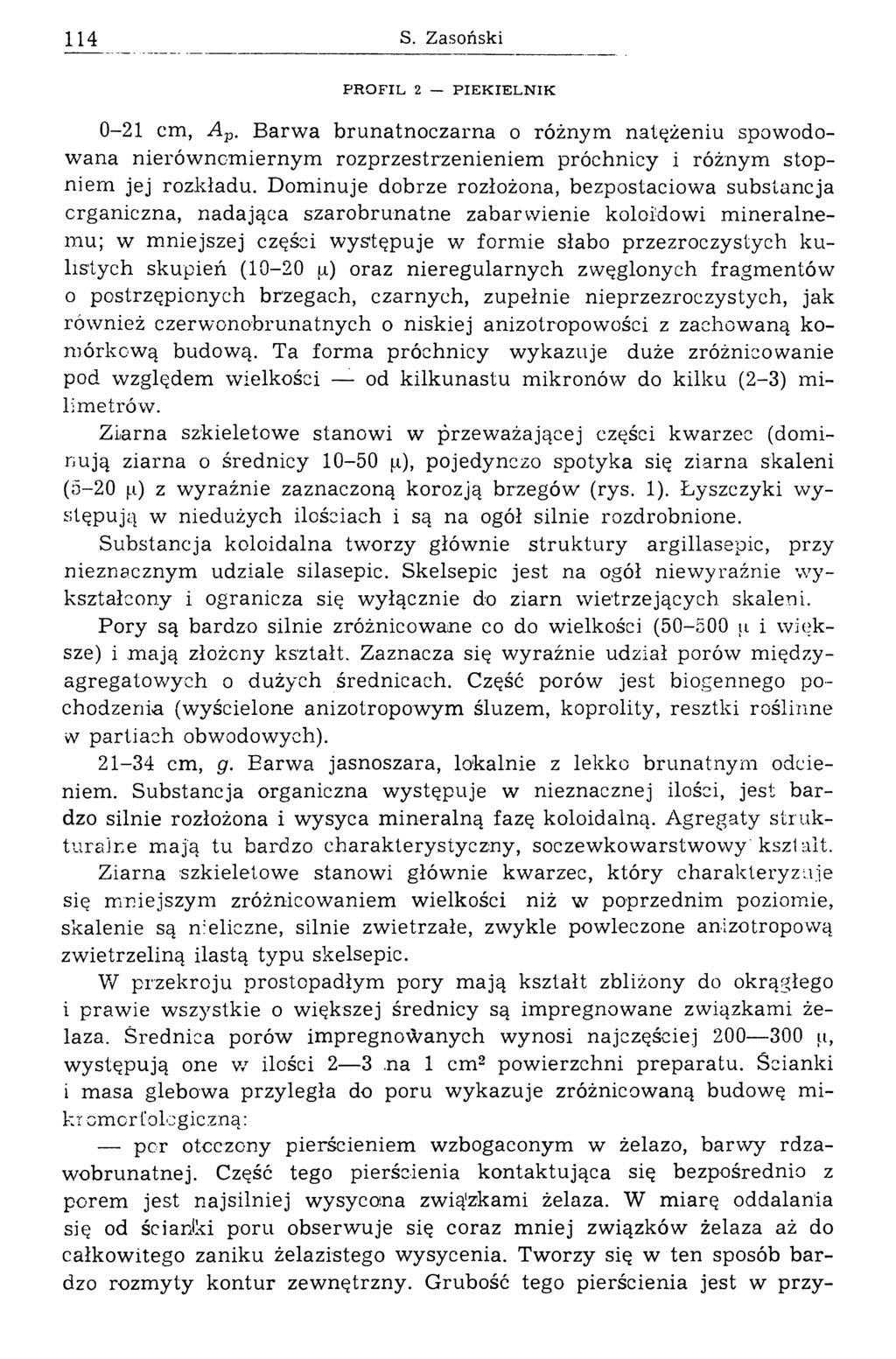S. Zasoński PROFIL 2 PIEK IELNIK 0-21 cm, Ap. Barw a brunatnoczarna o różnym natężeniu spowodow ana nierów nom iernym rozprzestrzenieniem próchnicy i różnym stopniem jej rozkładu.