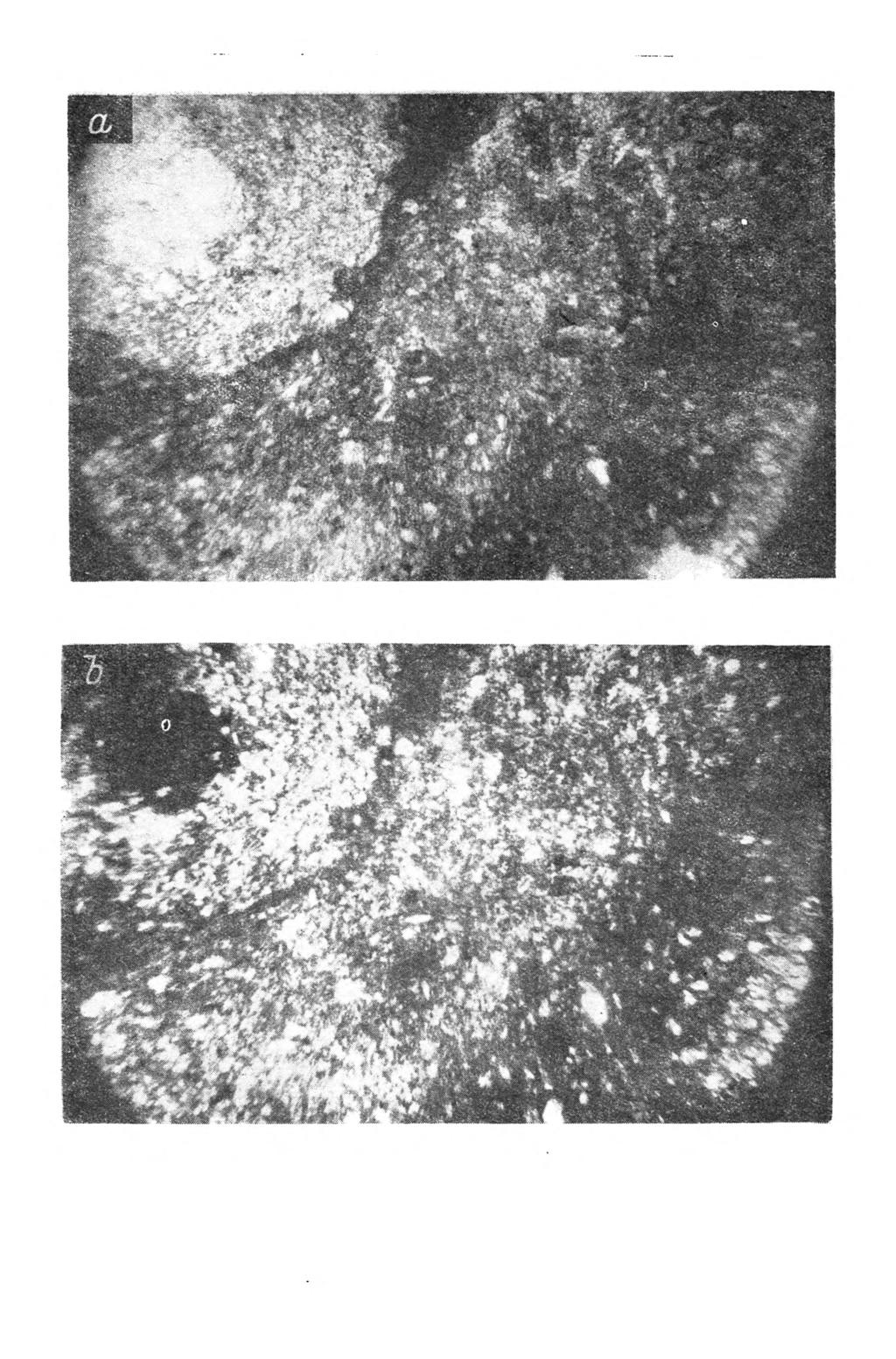 118 S. Zasoński Rys. 4. Profil 2 (Piekielnik), 21-34 cm.