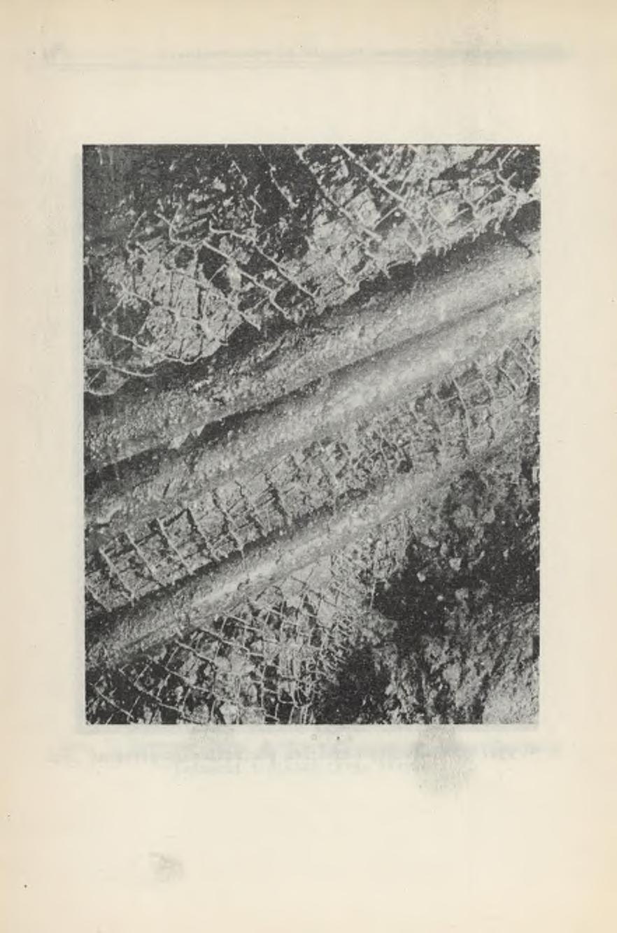 80 Janusz Mirowski