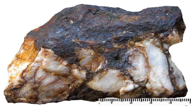 diamentowych do grubości 0,02 mm. Tak wykonane preparaty badano przy pomocy mikroskopu Motic - model 07-100477 (produkcji chińskiej). Wykonano obserwacje skał przy różnych powiększeniach.