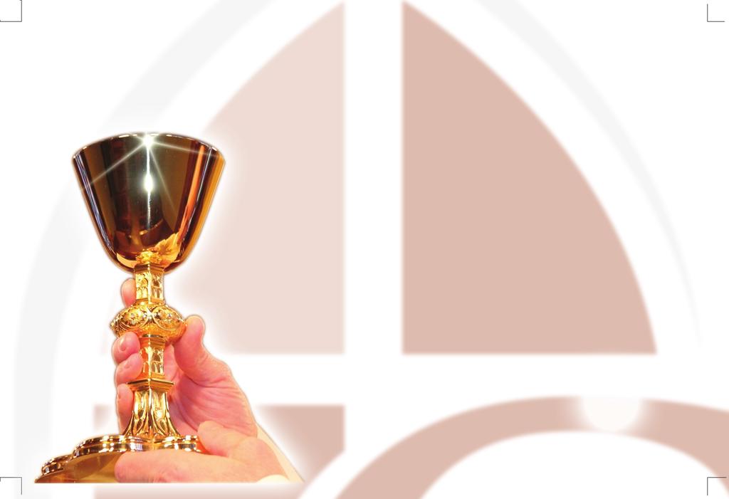 E N G A G E YO U R CATHOLIC FAITH beyond