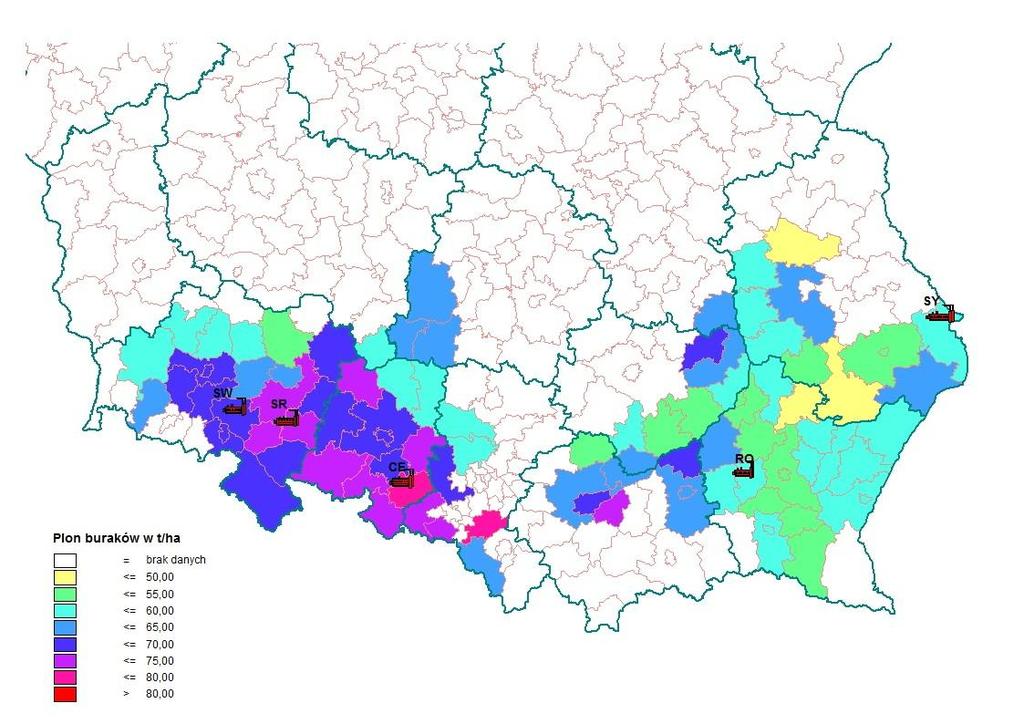 Plon buraków w kampanii