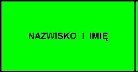 FLINTA - 2017 Siedlce -03-09-2017 Protokół Nr 2 KARABIN DOWOLNY - 40 strzałów - Open - Po 4-ch Rundach MIEJSCE NAZWISKO I IMIĘ ROK UR.