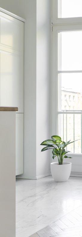 3 w Mocne włosie Ergonomiczny kształt -3 % 809 Szczoteczka 3 w Idealna do