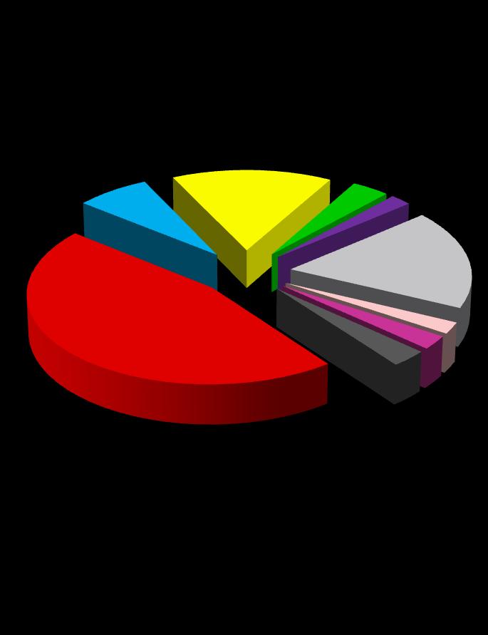 Największy odsetek uczestników stanowili mieszkańcy gminy Nysa 46%, czyli 241 osób, natomiast najmniejszy mieszkańcy gminy