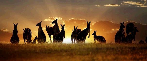 18 dzień 24.02 AUCKLAND (śniadanie) Transfer na lotnisko. 15:00 21:15 Przelot do Hongkongu. 23:55 05:00 (+1) Przelot do Londynu. 19 dzień 25.02 WARSZAWA 08:25 11:50 Przelot do Warszawy na MDL Okęcie.