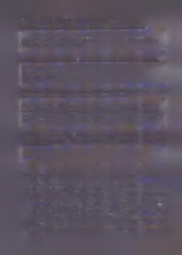 V. Inne wybrane informacje dotyczące zadania publicznego 1. Zasoby kadrowe przewidywane do wykorzystania przy realizacji zadania publiczngo.
