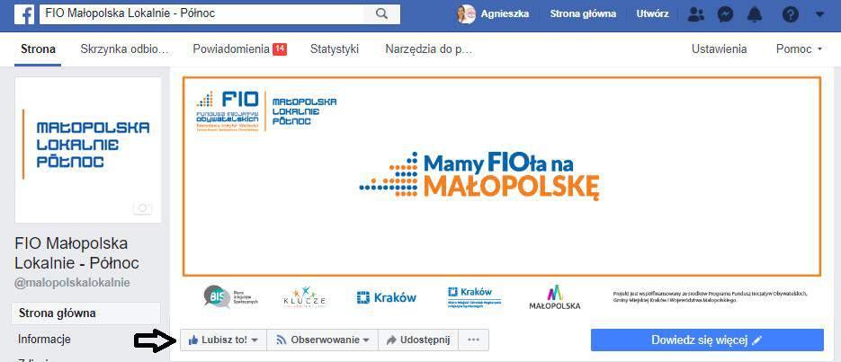 PROMOCJA PROGRAMU NA FACEBOOKU Pole dodania wpisu / status.