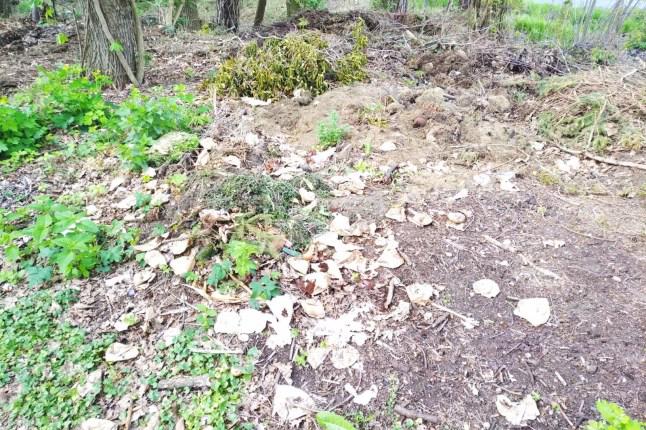 Gratulujemy wšitkim rentnarkam a rentnarjam našeje gmejny k narodninam a přejemy wjele zboža, krutu strowotu, wosobinske derjeměće a Bože žohnowanje.
