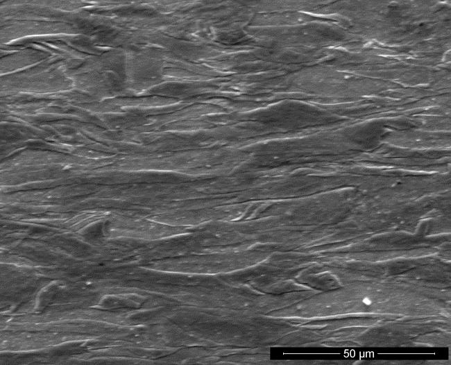 Scanning electron microscope SEM observations (Fig.