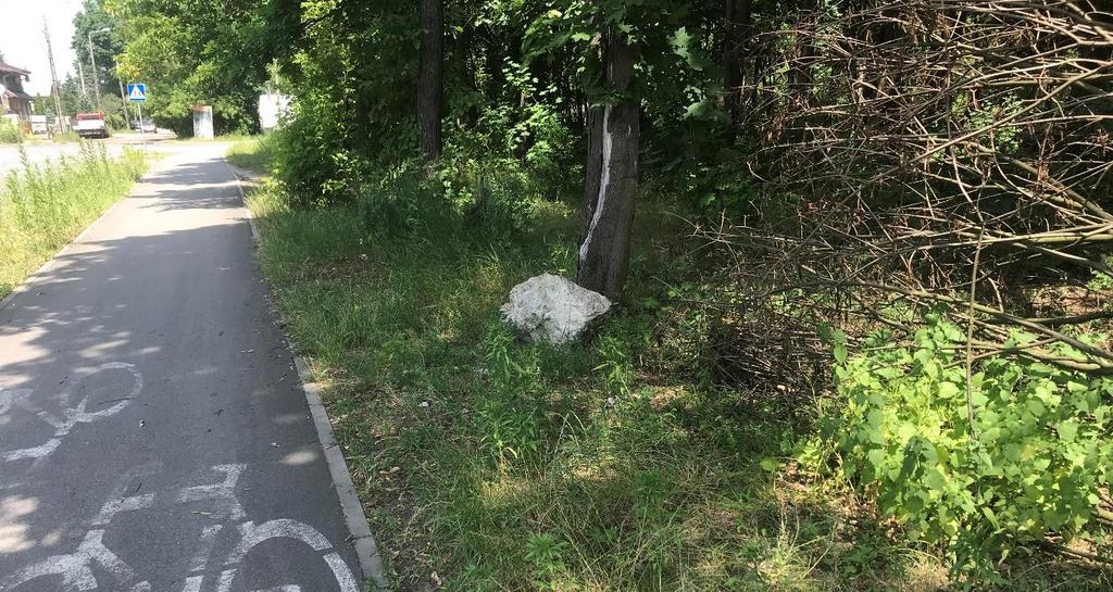 Wawerskiej biegnie chodnik oraz latarnie, wzdłuż ul. Wiejskiej przebiega ścieżka rowerowa.