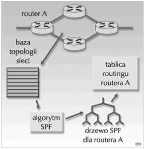 Routing IP Routing Protokoły routingu: