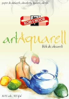 30 arkuszy 180 g/m 2 (5 szt.) BLO-RYAR 50 arkuszy BLO-RYA3AR A3 30 arkuszy 150 g/m 2 (10 szt.