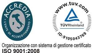 DICHIARAZIONE DI CONFORMITÁ DICHIARAZIONE DI INCORPORAZIONE DI QUASI-MACCHINA DECLARATION OF INCORPORATION OF PARTLY COMPLETED MACHINERY Il sottoscritto Nicola Michelin, Amministratore Delegato dell