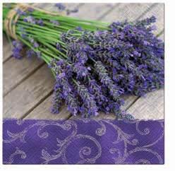scent of lavender zapach lawendy LAVENDER