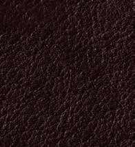 Softline