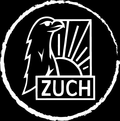 Rajdzie Młodego Kościuszkowca etc. Organizacja Kursu Drużynowych Zuchowych, Kursu Przybocznych oraz praktyk kolonijnych.