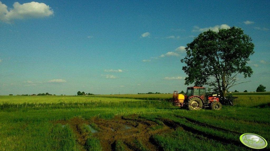 https://www. Źródło: AgroFoto.pl, mlody90 Chociaż każdy z tych elementów jest odmienny dla każdej uprawianej rośliny, to mimo to możemy znaleźć wspólny mianownik dla niektórych z nich.