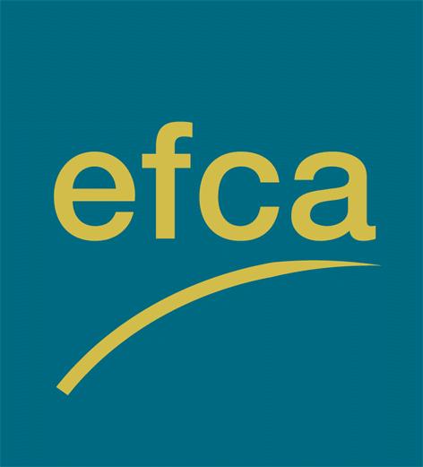 Federation Internationale des Ingenieurs Conseils (FIDIC) Międzynarodowa Federacja InŜynierów Konsultantów European
