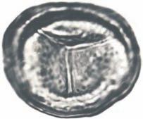 TABLICA