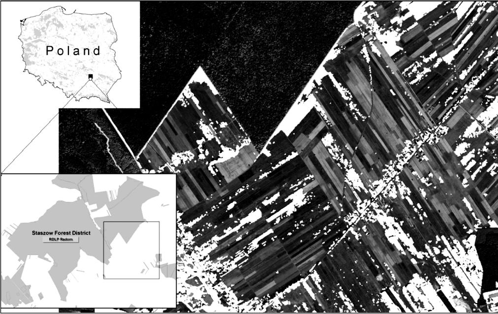 Application of the object based image analysis of the VHR satellite images... 233 Fig. 2. VHRQuickBird OBIA classification on the test area of the Mostki and Kolonia Bogoria.