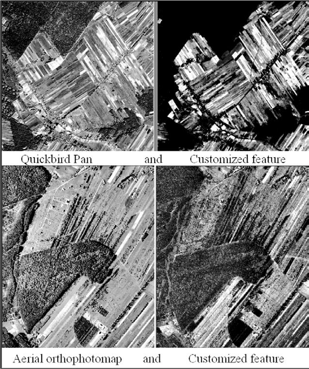 234 Piotr Wê yk, Roeland de Kok, Krystian Kozio³ customized feature [Pan / (Edge I + Edge II)] thus contains 3 classes: Infrastructure (buildings, roads), Shadows and High Vegetation.