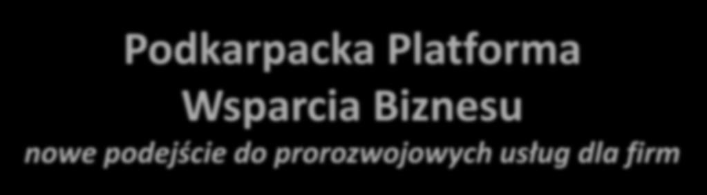 Podkarpacka Platforma Wsparcia Biznesu nowe podejście do prorozwojowych usług dla