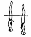 BP4 FLAMINGO POSITION (flamingo) OPIS KSIĄŻKOWY RYSUNEK / DIAGRAM POŻĄDANE WYKONANIE a) Na powierzchni 1. Jedna noga równolegle do powierzchni wody. 2.