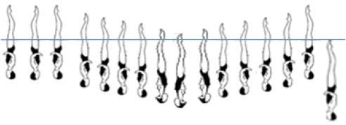 4. Starting in a Vertical Position a Full Twist is executed followed by a Combined Spin of 1080 (3 rotations). [DD 2.