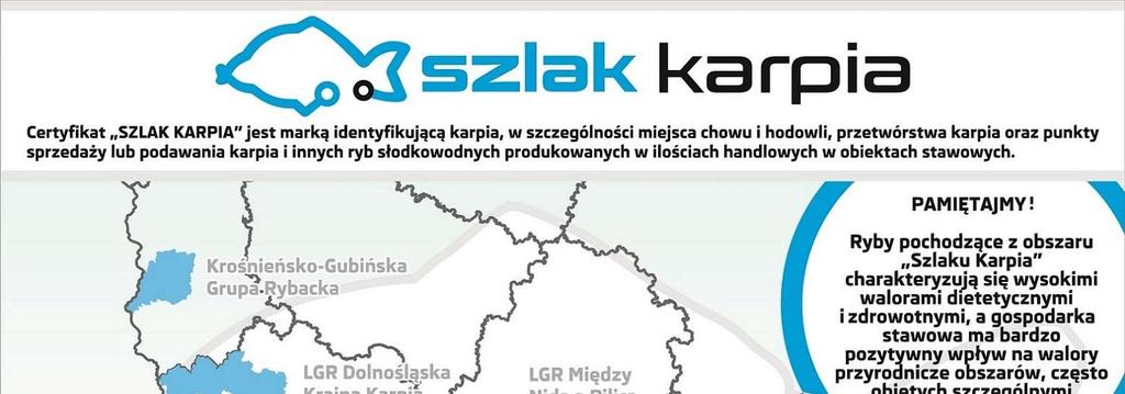 Przykłady