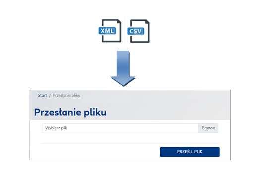 9. Po wczytaniu pliku Pracodawca wysyła plik do Agenta Transferowego za pomocą przycisku Prześlij plik. 10.