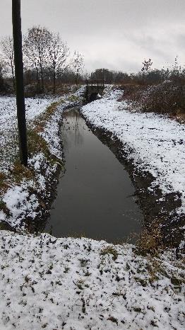 rowy: Grabowiec w Kadłubie Piecu (na dł. ok 50mb) a także rów w Strzelcach Opolskich od ul.