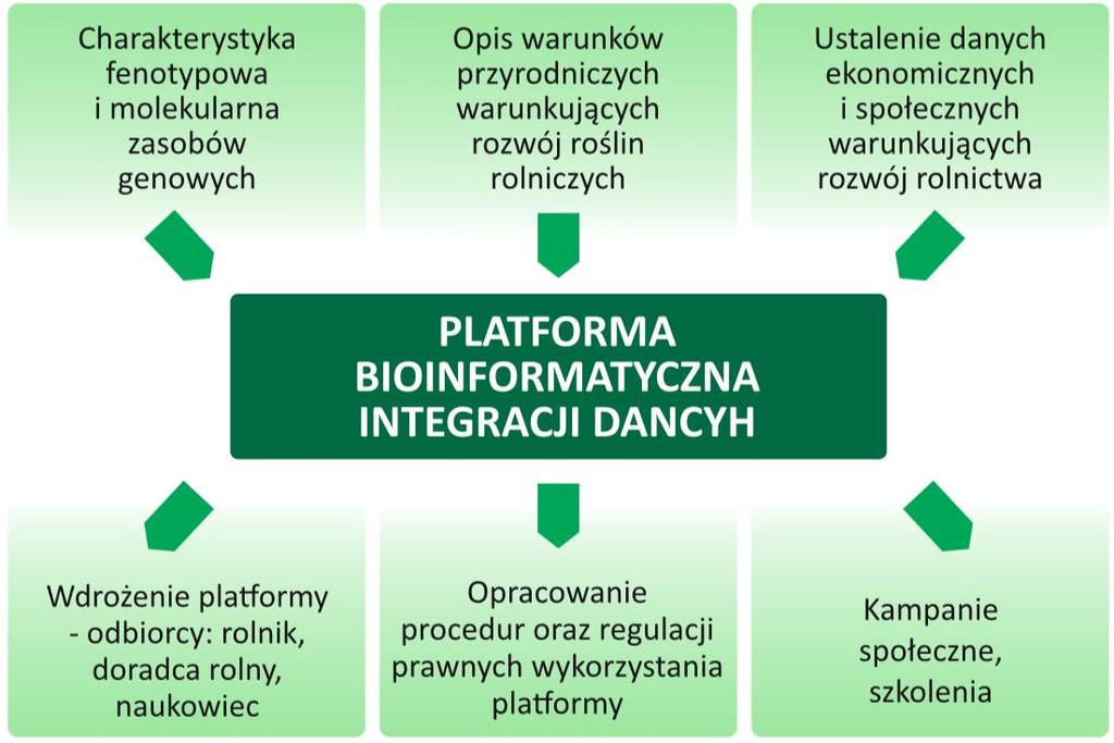 Zadania w projekcie FAZA