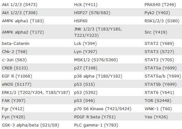 3.2.17. Analiza zmian fosforylacji kinaz białkowych w komórkach CD34 + 1 10 6 komórek CD34 + po 7 dniach ekspansji ex vivo, poddawano inkubacji z hips-evs przez 2 godz.