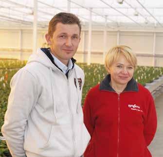 głównie pelargonii (fot. 1). Obiekt, w którym od 10 lat rozwijają tę specjalizację, powiększyli ostatnio o 0,7 ha. Dobudowana do niego w 2012 r.