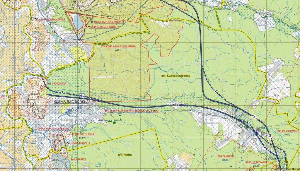 Lasy ochronne Park Krajobrazowy Cysterskie Kompozycje Krajobrazowe Rud Wielkich Złoże piasków Kotlarnia Solarnia Kuźnia Raciborska Droga wojewódzka nr 919 Jednorodzinna zabudowa