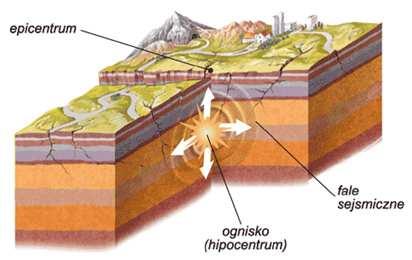 Miejsce pod powierzchnią Ziemi. z którego rozchodzą się fale sejsmiczne nazywamy hipocentrum (ogniskiem trzęsienia).